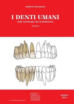 Large sab24c 001 cover.360